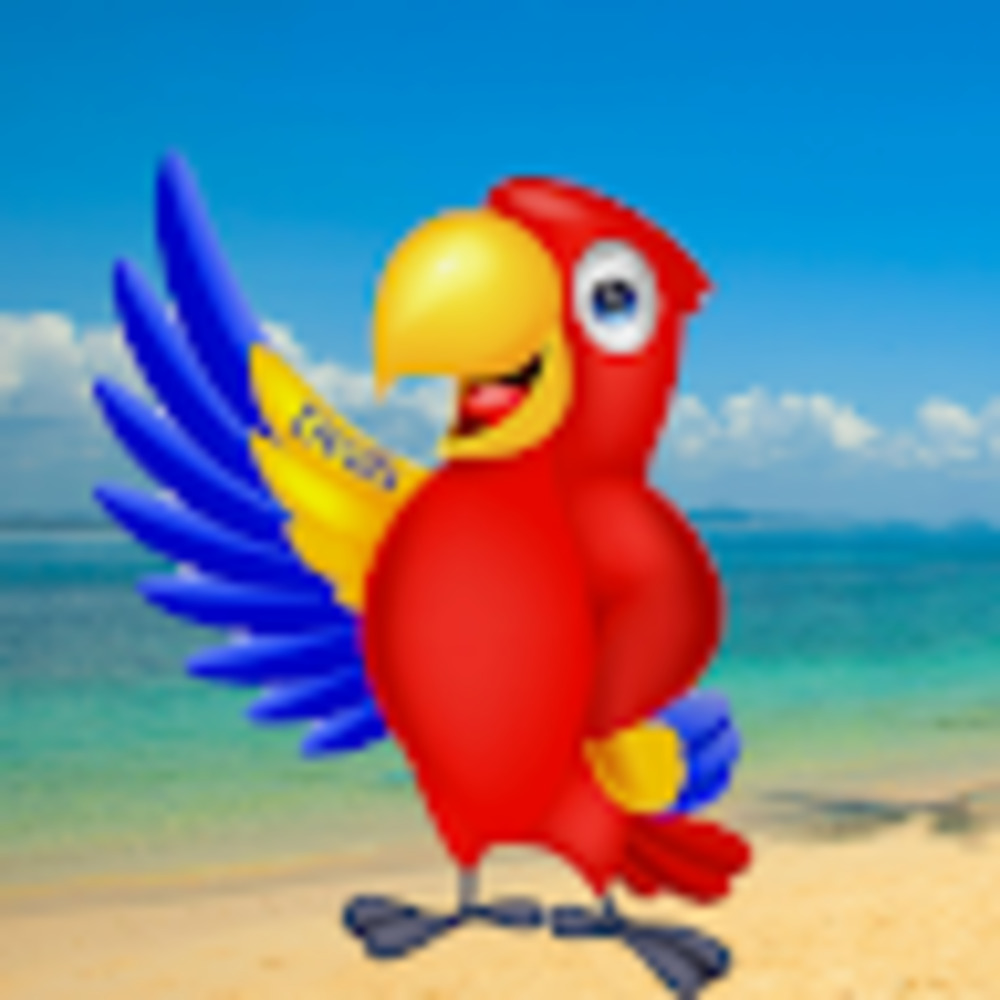 Meet your Posher, Dealstheparrot